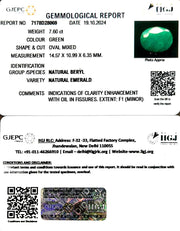 7.60/CT Natural Panna Stone with Govt. Lab Certificate-1665